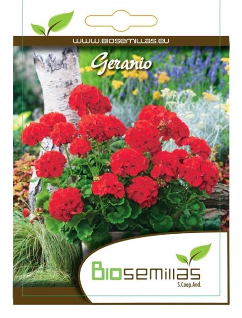 Geranio Biosemillas Almería Coop