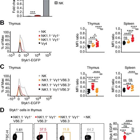 Styk1 Is Highly Expressed In Nk Cells And Upregulated In γδ Nkt Cells