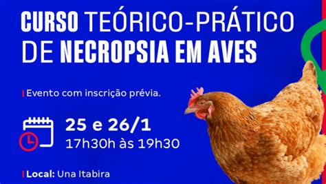 Curso Te Rico Pr Tico De Necropsia Em Aves Em Itabira Sympla