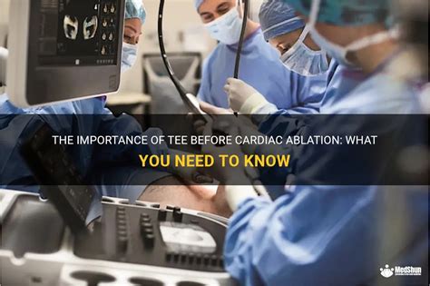 The Importance Of Tee Before Cardiac Ablation What You Need To Know Medshun