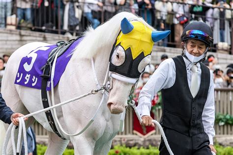 ソダシの今浪厩務員、ファンへ贈る言葉 「応援してくれたことが仕事のモチベーションになった。感謝しかないよね」 日刊ゲンダイ競馬