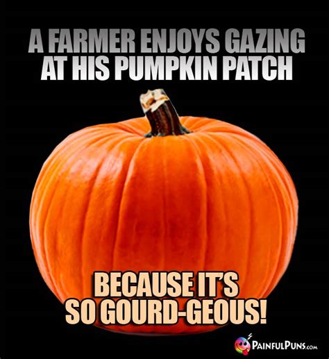 Pumpkin Jokes Jack O Lantern Humor Gourd Puns