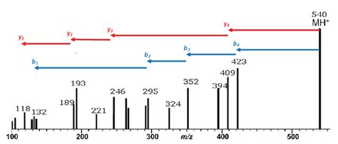 Peptide Sequencing With Electrospray Lcms Part 2 Interpretation Of A