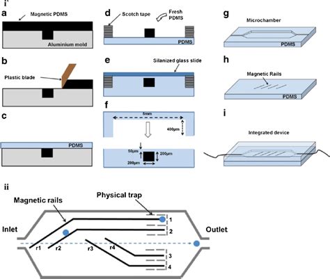 I A Detailed Schematic Representation Of The Microfluidic Platform