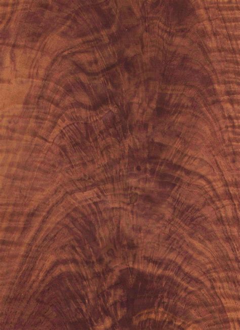 Claro Walnut Crotch Veneer M Bohlke Corp Veneer And Lumber