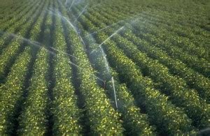 HOW To Improve Irrigation Efficiency - CivilDigital