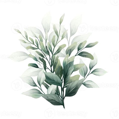 Bouquet Of Watercolor Leaves Png