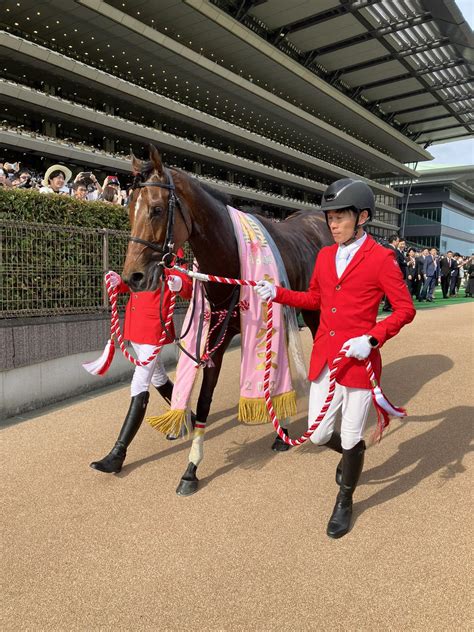 夕刊フジ競馬班さんの人気ツイート（新しい順） ついふぁん！