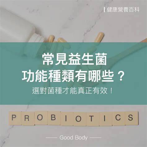 市面常見益生菌功能種類有哪些？