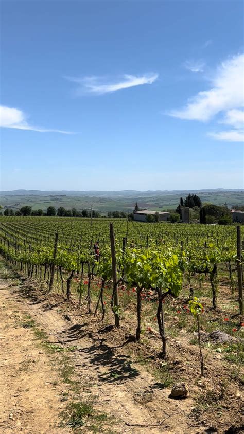 Vino and Hill Towns on a Tuscany Wine Tour