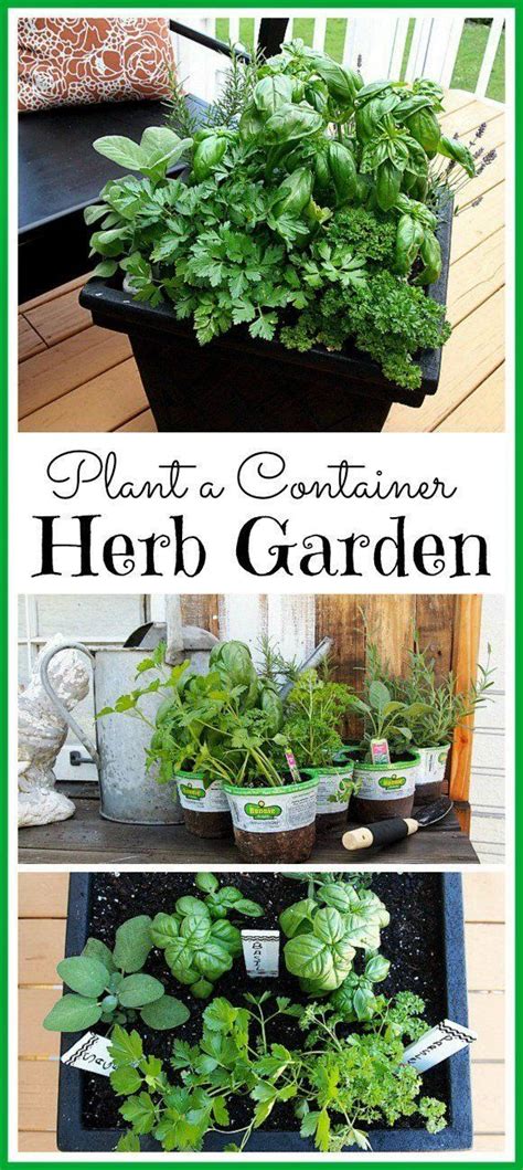 6 Great Tips For Planting A Container Herb Garden This Is A Great Idea