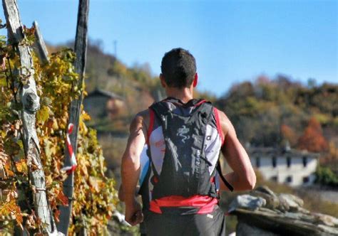 Valtellina Wine Trail La Corsa In Montagna Fra I Vigneti Con Party