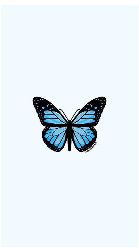 Butterfly Aesthetic Drawing - Butterfly Mania Info