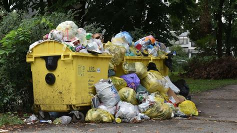 Zagreb Nikad Neuredniji Susjed U Travnom Za Sinovu Svadbu Sam Je Kosio