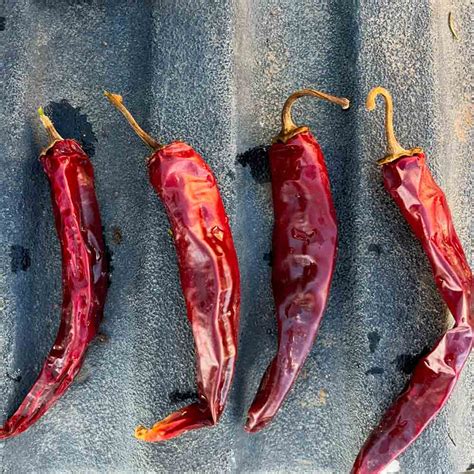 Cayenne Long Slim Heirloom Pepper Seeds Terroir Seeds