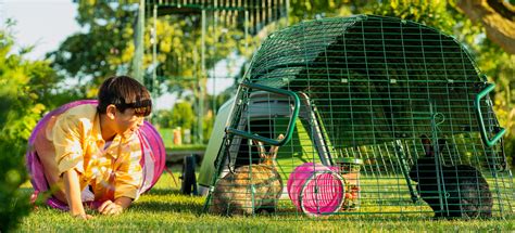 Comment Choisir Le Bon Clapier Pour Votre Lapin Ou Votre Cochon DInde