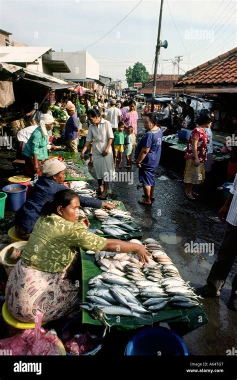 Pasar Ikan Jakarta Homecare