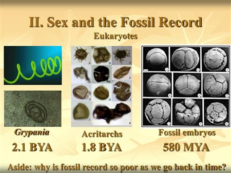 Ppt Biology Of Sex Powerpoint Presentation Free Download Id 6899927