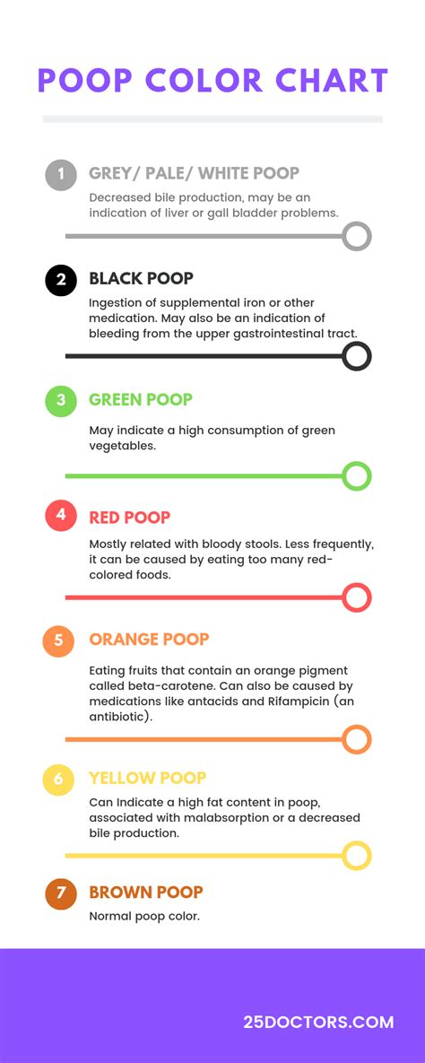 poop stool color changes color chart and meaning healthy concept stock