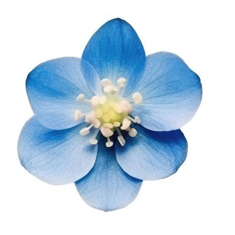 Premium Photo A Blue Flower With Yellow Spots On The Center