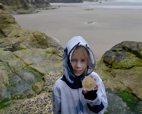 Oregon Coast Tide Pools at Hug Point and Cannon Beach - light-in-leaves