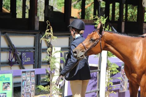 Thurston County Fair 2014 Photos - ThurstonTalk