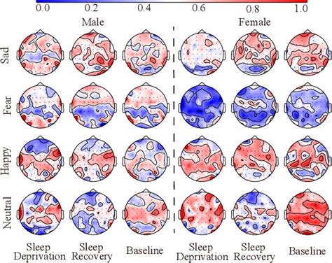 [pdf] Sex Difference In Emotion Recognition Under Sleep Deprivation Evidence From Eeg And Eye