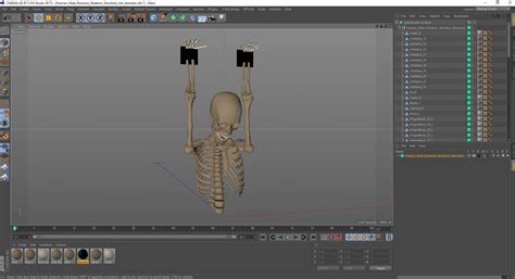 Human Male Remains Skeleton Shackled D Model Ds Blend C D