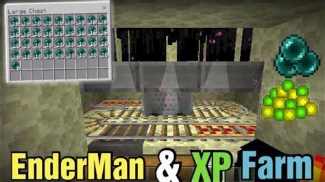 Easy Enderman Xp Farm Tutorial In Minecraft Bedrock Youtube