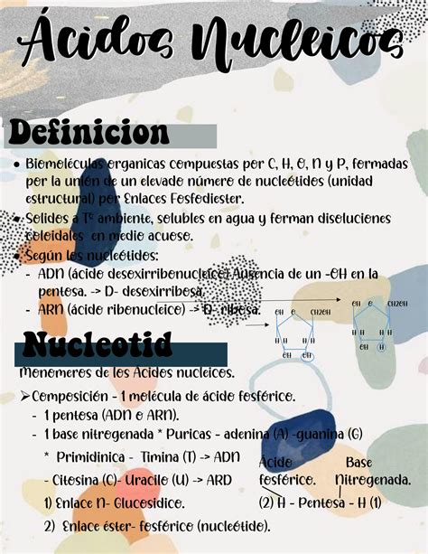 SOLUTION Tema 7 Acidos Nucleicos Studypool