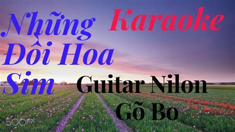 Karaoke Nh Ng I Hoa Sim Tone Nam M C Guitar Nilon Youtube