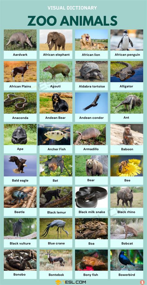 Zoo Animals Names in English • 7ESL