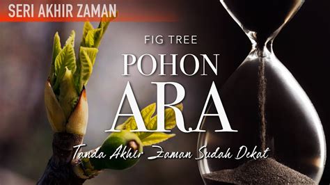 Seri Akhir Zaman Pohon Ara Matius 24 32 35 Fig Tree Matthew 24