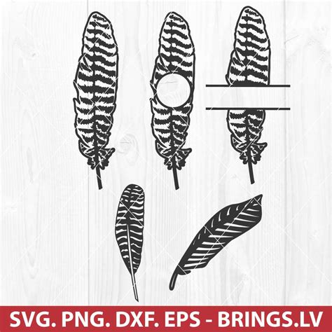 Turkey Feather SVG, Thanksgiving SVG, PNG, DXF, EPS