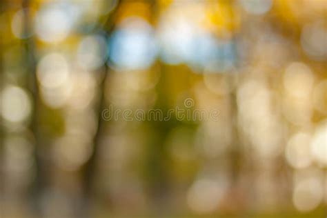 Blurry nature wallpaper. stock photo. Image of outdoor - 103421286