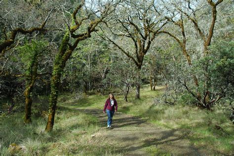 Bothe Napa Valley State Park | Napa Outdoors