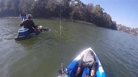 Fishing In Lane Cove Youtube