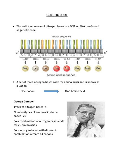 Genetic Code | PDF