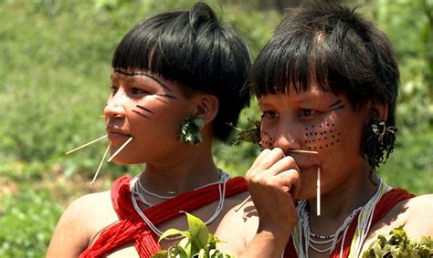 Indígenas Profissionais De Saúde E Professores Falam Sobre A Crise Humanitária Na Terra Yanomami