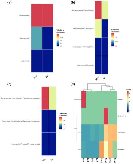 Sustainability Free Full Text Sod Culture With Vicia Villosa Alters