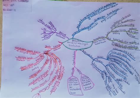 Detail Contoh Tugas Mind Mapping Koleksi Nomer