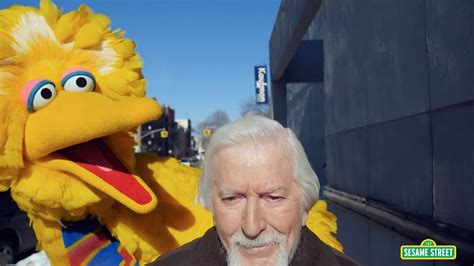 'Big Birdman', A Touching 'Sesame Street' Parody of the Film 'Birdman ...