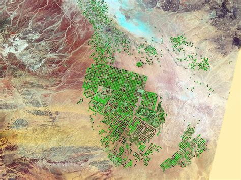 Saudi Arabia agriculture, 2012 - Stock Image - C015/4569 - Science ...