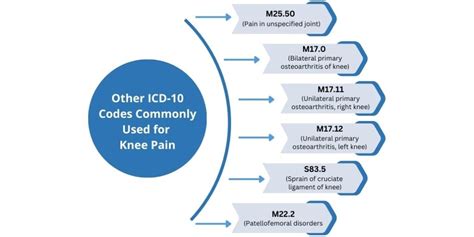 Comprehensive Overview Of Knee Pain Icd 10 Codes