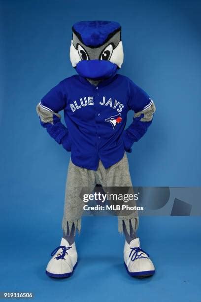 Toronto Blue Jays Mascots Ace Photos And Premium High Res Pictures