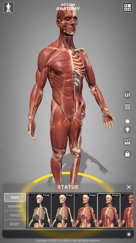 Action Anatomy 3d Anatomy Pose App For Artists Na Android Download