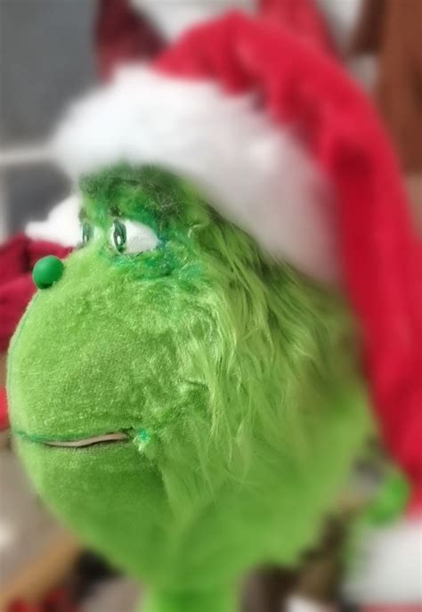 Pin By Gressel Acosta On Grinch Christmas Decorations In Grinch