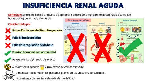 Solution Insuficiencia Renal Aguda Y Cr Nica Studypool