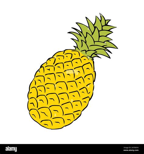 How To Draw A Pineapple Easy Drawing Art Edu Svet Gob Gt