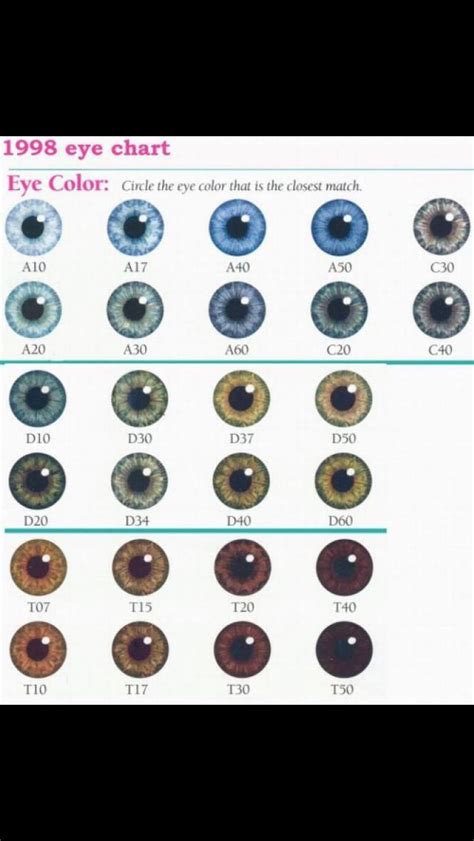 8 Best Eye Color Chart Genetics Images In 2020 Eye Color Chart Eye